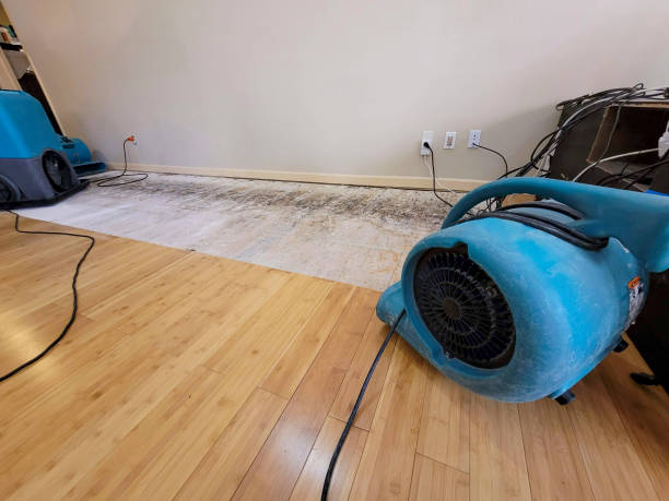 Professional Emergency Water Damage technician working in Grasston, MN